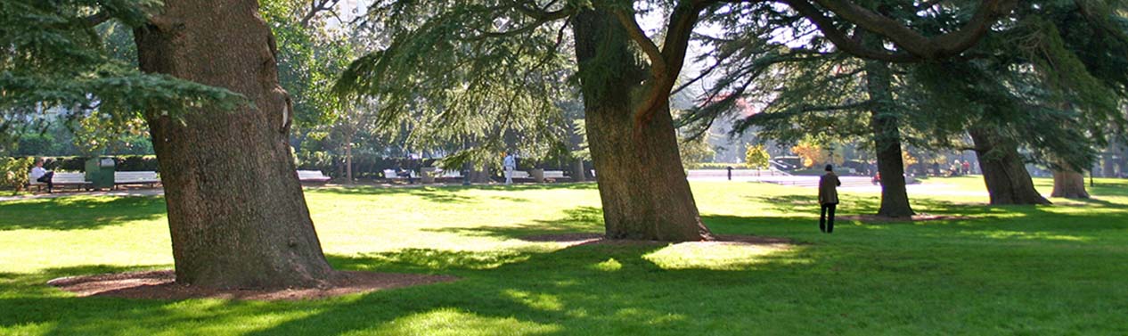 California State Capitol Cropped